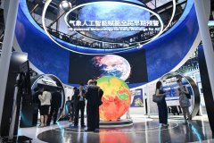 <b>人工下一成长阶段</b>